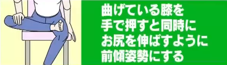 ホンマでっかTVの痩せ体質になるエクササイズのやり方